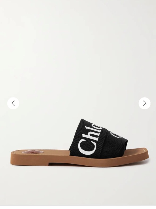 ✨CHLOE Slides✨